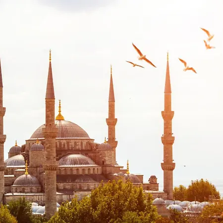 Old Sultanahmed Miran