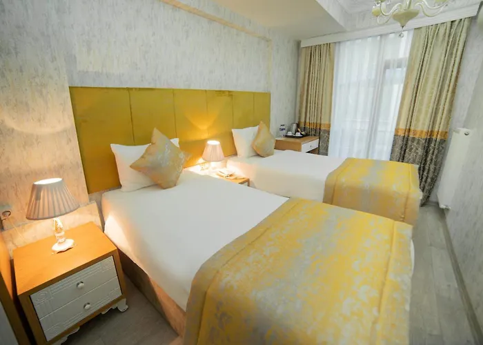 Old Sultanahmed Miran 3* Provincia di Istanbul