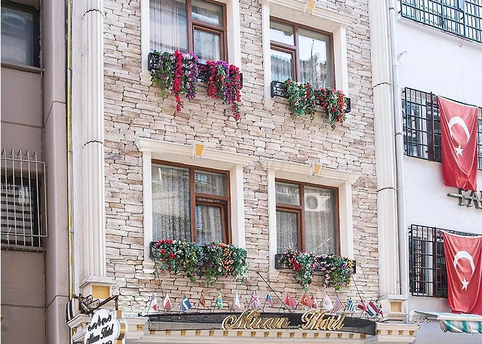 Old Sultanahmed Miran 3* Provincia di Istanbul