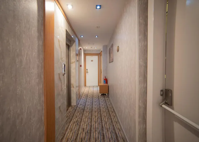 Old Sultanahmed Miran 3* Стамбул